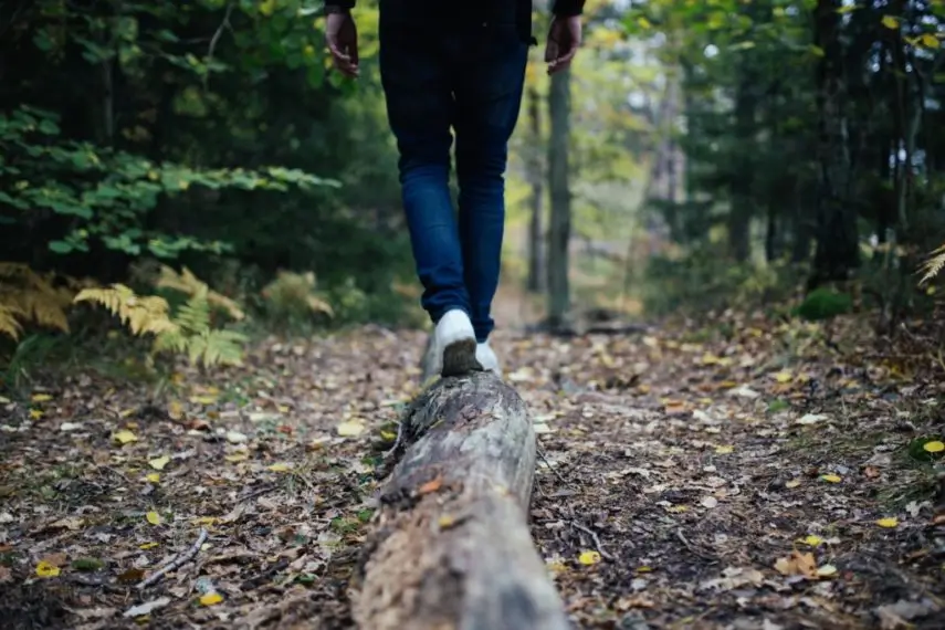 Man balance on a log as he walks through the forest. 