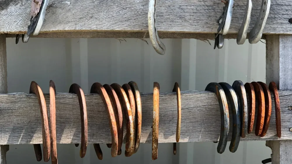 horseshoes on fence