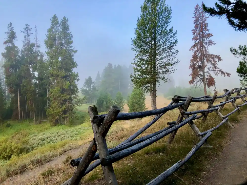 wooden fence out in the country